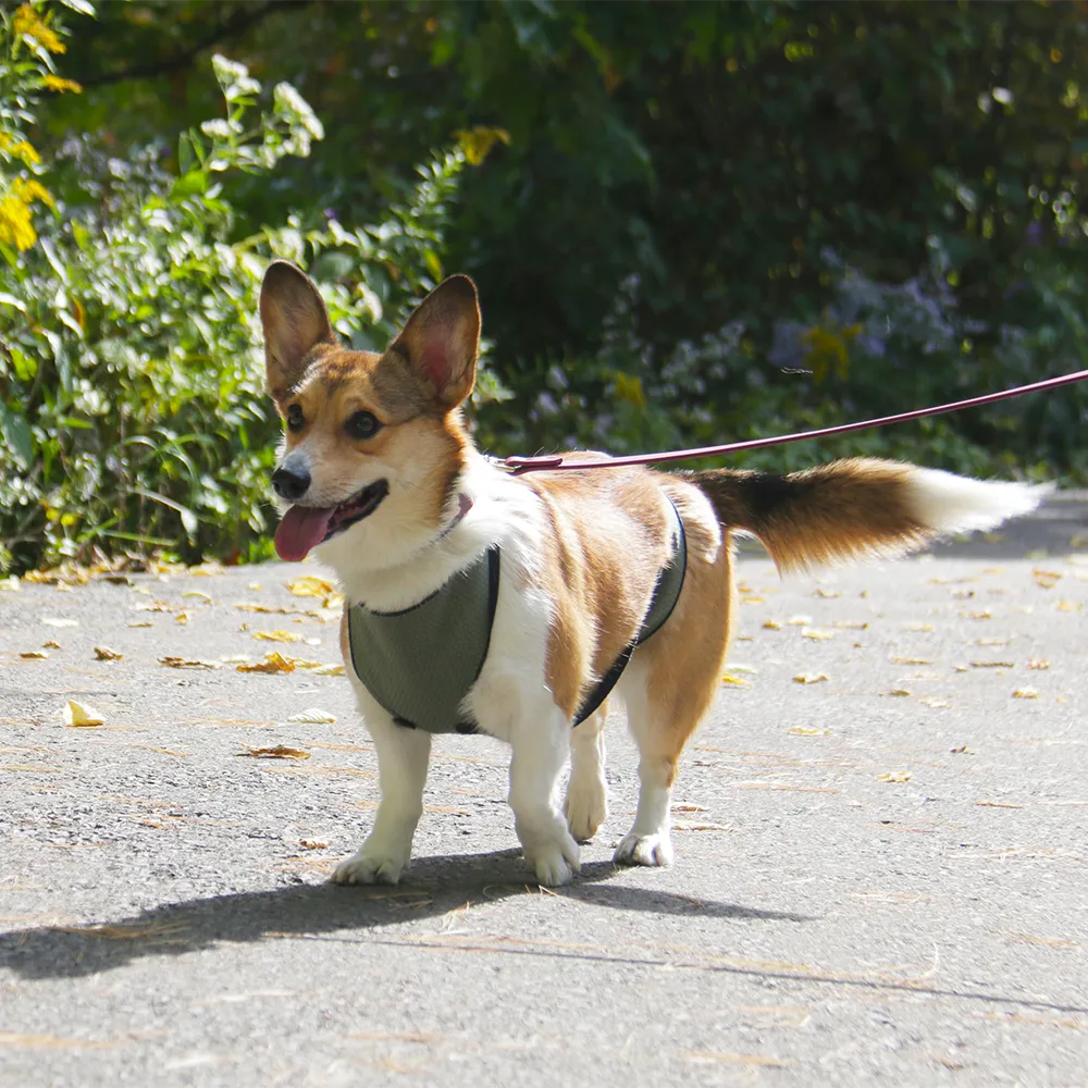 ECO BELLY BIB | chase green