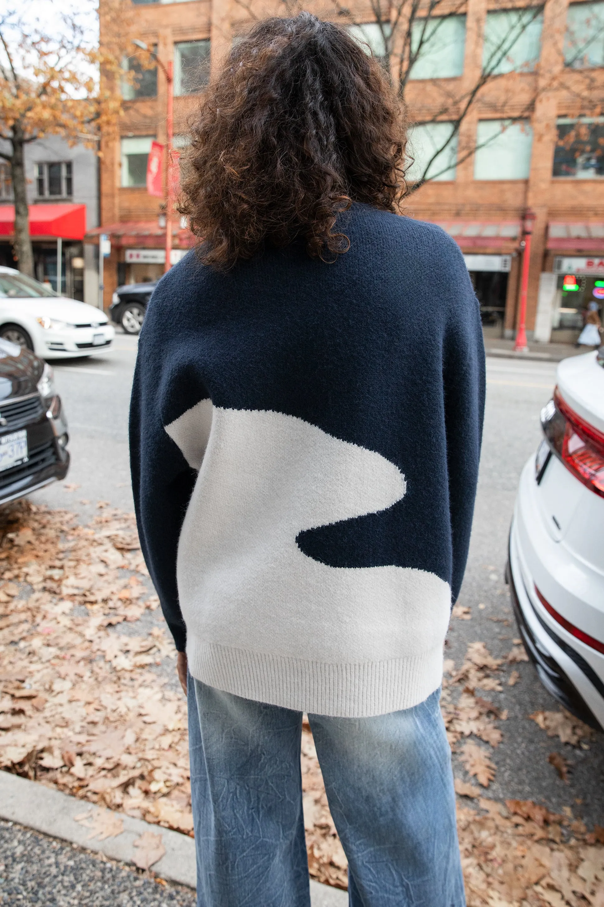 OVERSIZED INTARSIA KNIT SWEATER